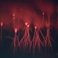 Red Sprite Lightning Sprites 2023-09-10+11, France, by Nicolas Escurat